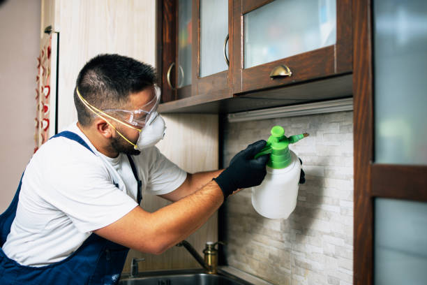Best Affordable Pest Control Services  in Guyton, GA