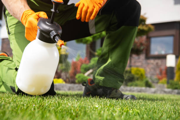 Reliable Guyton, GA Pest Control Solutions
