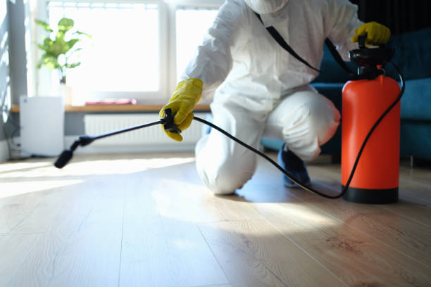 Best Residential Pest Control  in Guyton, GA