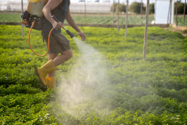 Best Exterminator Services  in Guyton, GA