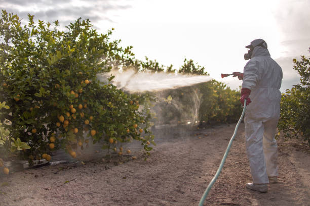 Pest Control Cost in Guyton, GA