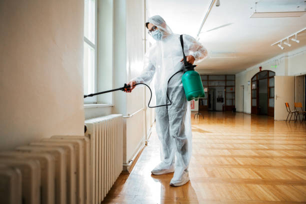 Best Wasp Removal Services  in Guyton, GA