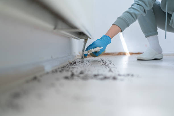 Best Mosquito Control Services  in Guyton, GA